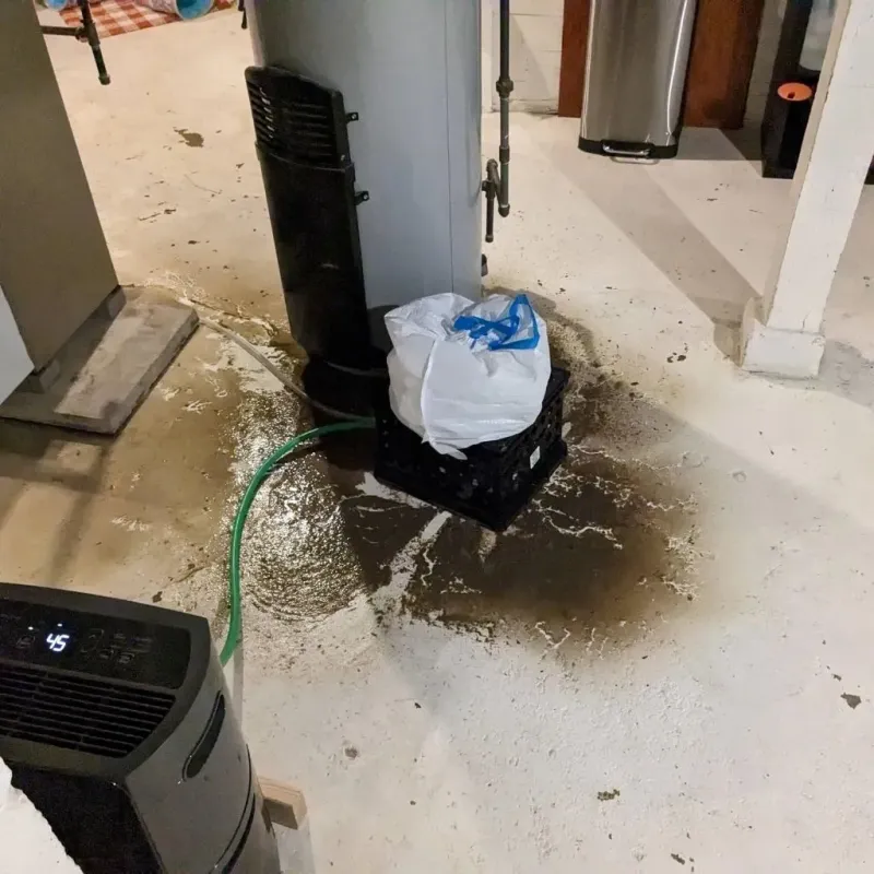 Sewage Backup Cleanup Service in Ranger, TX